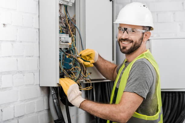Best Electric Panel Repair  in Trinidad, CO